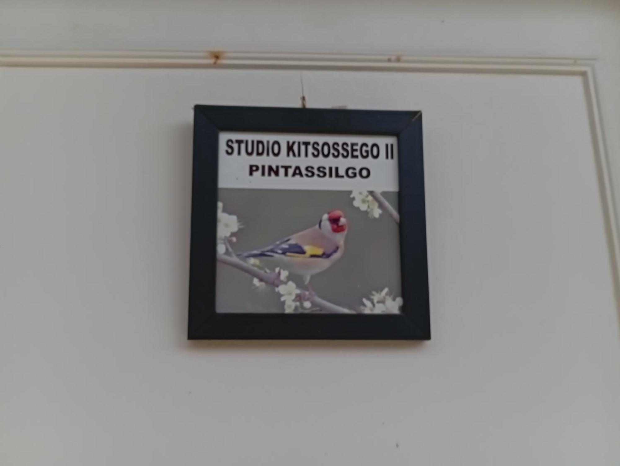 Studio Kitsossego Curitiba Exteriér fotografie