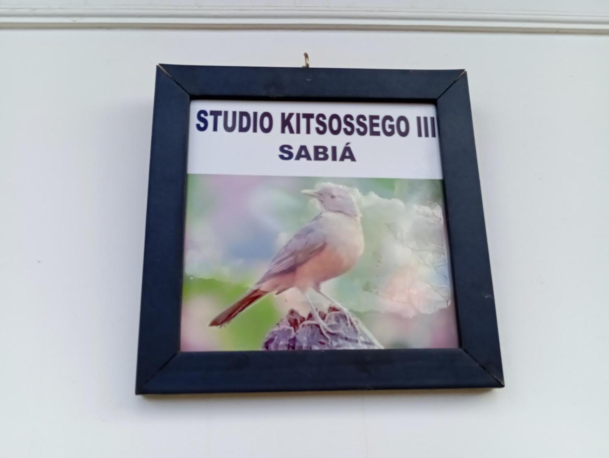 Studio Kitsossego Curitiba Exteriér fotografie